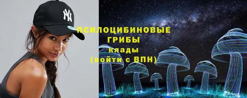 Галлюциногенные грибы Psilocybe  купить закладку  мориарти состав  Красавино 